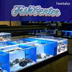 Fish Center Fenerbahçe Akvaryum Fish Center Fenerbahçe Akvaryum
