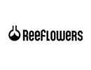 Reeflowers